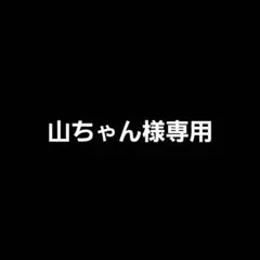 山ちゃん様専用 ジームス