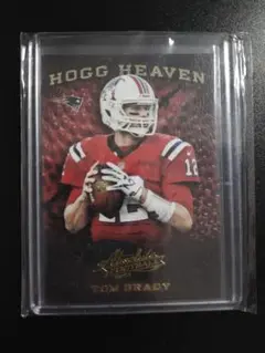 ■NFL Tom Brady トム・ブレイディ Hogg Heaven