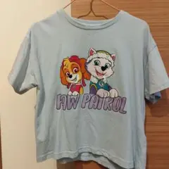 パウパトロール Tシャツ スカイ エベレスト