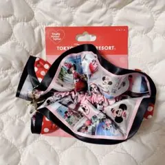 ディズニーランド ミニーちゃん 実写 シュシュ ベリミニ
