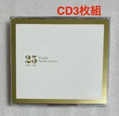 安室奈美恵　Finally Namie Amuro 25周年記念 CD3枚組