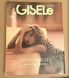 GISEle 2025年6月号
