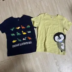 Tシャツ95 ぷっくり　恐竜　ペンギン　水族館