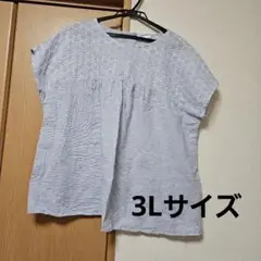 SORS ストライプ刺繍 半袖ブラウス 3L