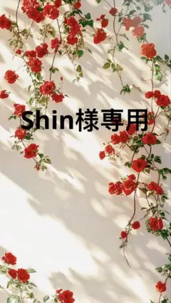 Shin様ブラック1枚