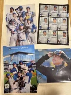 北海道日本ハムファイターズ クリアファイル 4枚セット