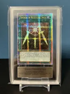 光の護封剣 WCS2024 25th ARS9