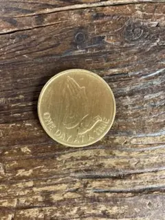 USA プレイングハンドCOIN