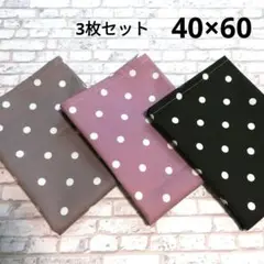 Item thumbnail for item 44433631-4c89-40e4-ac0a-116b49d078c9