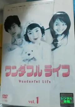 韓国ドラマDVD ワンダフルライフ 全話