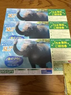 富士サファリパーク 無料招待券 3枚セット