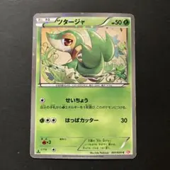 ポケモンカード ツタージャ　シャイニーコレクション