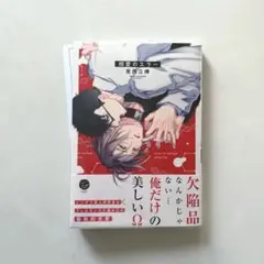 相愛のエラー　里西立樺