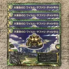 ワイルドサファリチャンネル
