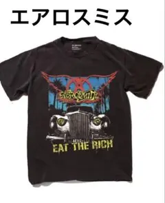 EPIC RIGHTS T-SHIRT エアロスミスEAT THE RICH