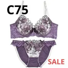 Item thumbnail for item 0d6f713c-0962-4ea5-a4cc-8f7b241c2702
