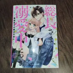 総長さま、溺愛中につき。 4　野いちご文庫　ピンクレーベル