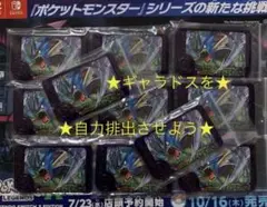 成功者59名★おまけつき（ギャラドス獲得）クワガノン　ポケモンフレンダ