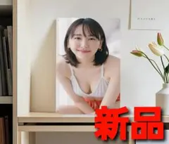 ～時限ゲリラセール～【新品未開封】新垣結衣 激レア セクシー ブリキ 看板