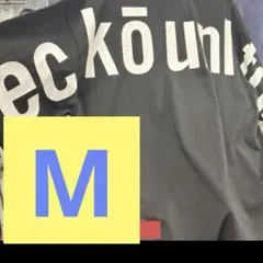 ECKO UNLTD エコーアンリミテッド　Tシャツ　大きいサイズ　M