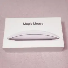 Magic Mouse 箱のみ