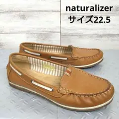 Item thumbnail for item 6467b262-43c5-4d6d-9255-8a5a1b7d1c3e