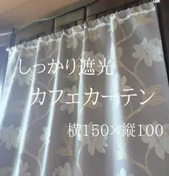 Item thumbnail for item c803b6ce-eec9-480c-91ef-c7796236a048