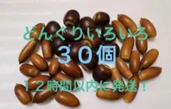 Item thumbnail for item 983cda4d-8a42-493d-986b-992868793c78