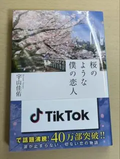 桜のような僕の恋人