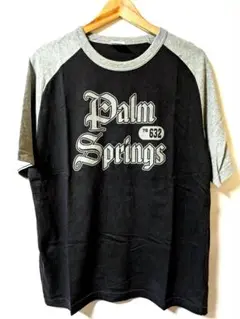 Champion Palm Springs Tシャツ M 黒/グレー リンガー