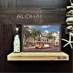【送料無料】南国の風景☆HAWAII No.186　 フレーム付 　A4サイズ