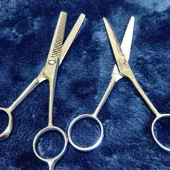 Item thumbnail for item 16c406ad-3046-4aba-88f7-df78f2f4789b