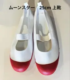 新品　25cm ムーンスター 赤色　上靴