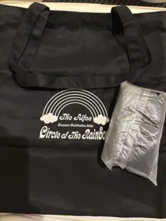 THE ALFEE 夏　ワクワクBOX 手提げバッグ