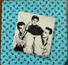 THE TEDDY BEARS - My Little Pet オールディーズ