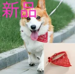 Item thumbnail for item 0b120ac2-c50c-4fbc-8816-d43231501aac