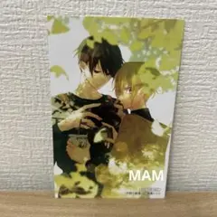 平野と鍵浦 6巻 アニメイト 特典 スマホサイズミニカード