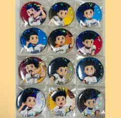 ハンターハンター　12球団　プロ野球　ホログラム　缶バッジ　ゴン　コンプセット
