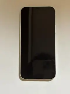 Apple iPhone 12 グリーン 本体 64GB