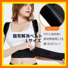 【もうすぐ値上】猫背解消ベルトL