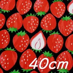 半端＊110×40cm●布 かわいい大きなイチゴ オックス 綿 ブラック