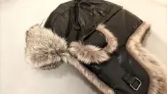 Item thumbnail for item 69b2af57-5c24-41de-99ff-2fb46ef25c42