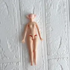 ❤️アイシードール❤️ボディ　ミディサイズ