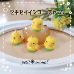 ③セキセイインコ　チャーム　キーホルダー