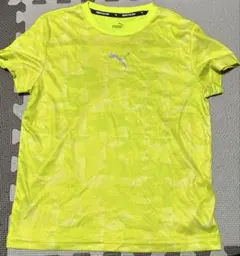 Item thumbnail for item 8f5d1ceb-514c-4f34-a18e-9111d95bd3ef