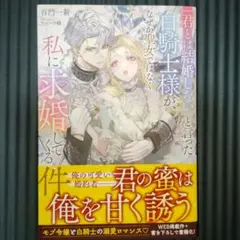 「君とは結婚しない」と言った白騎士様が、なぜか聖女ではなく私に求婚してくる件