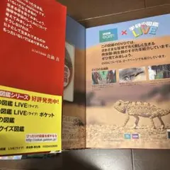 Item thumbnail for item d5ce25c2-a8cf-485c-a683-bb19d67bcbd6