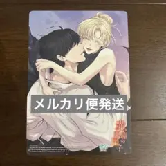 特典のみ⭐️ 赤い瞳の廃皇子 1 アニメイト ビジュアルボード