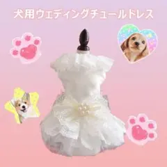 Item thumbnail for item 3d0882e2-c69a-491a-8a29-5374703c485a