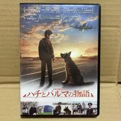 ハチとパルマの物語 DVD